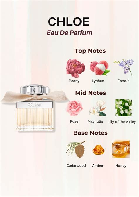 chloe by chloe perfume|chloe by CHLOE. perfume notes.